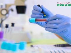 Khi nào cần xét nghiệm bệnh dại cho thú cưng bay EVA Air?